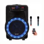 SPEAKER MEIRENDE MR 302