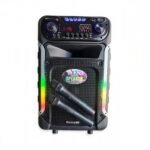 SPEAKER MEIRENDE MR 201 - Image 3