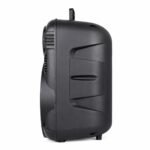 KTS Wireless Speaker 12" 1201S - Image 3