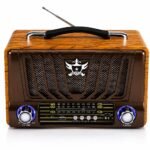 Hi-Fi Speaker R-1953BT