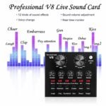 Singing Live Sound Card - Image 2