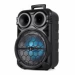 KTS Wireless Speaker 12" 1201S