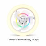 Aromatherapy Fan Light - Image 4