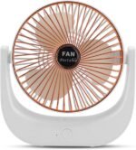 Desktop Fan